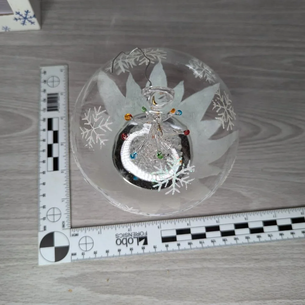 Banberry Designs Lighted LED Ornament 